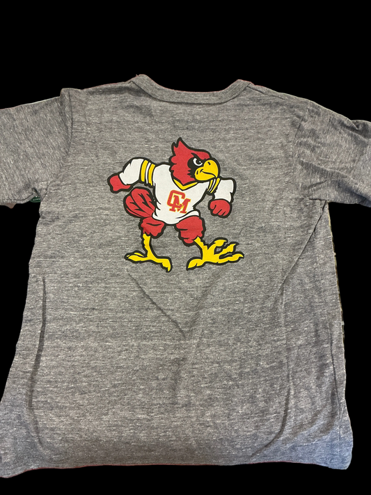 Youth League Victory Falls Tshirt