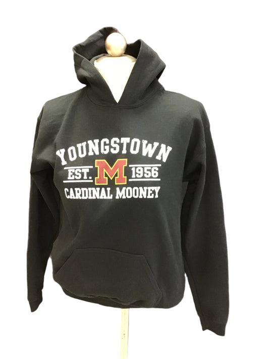 Youth Gildan Youngstown Cardinal Mooney Hooded Sweatshirt